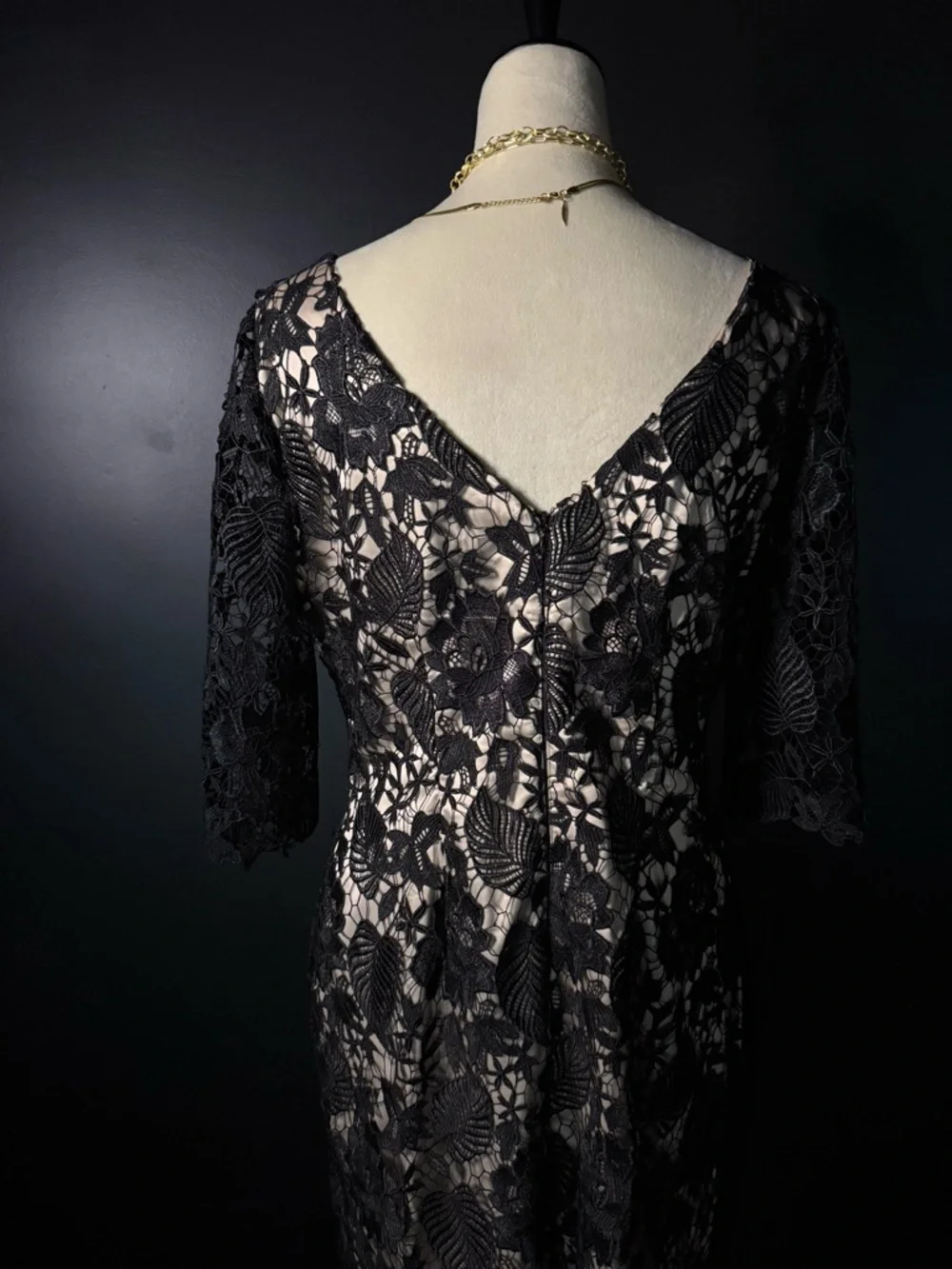 Elegant Black Lace Sheath Dress with Nude Lining - Picture 6 of 7